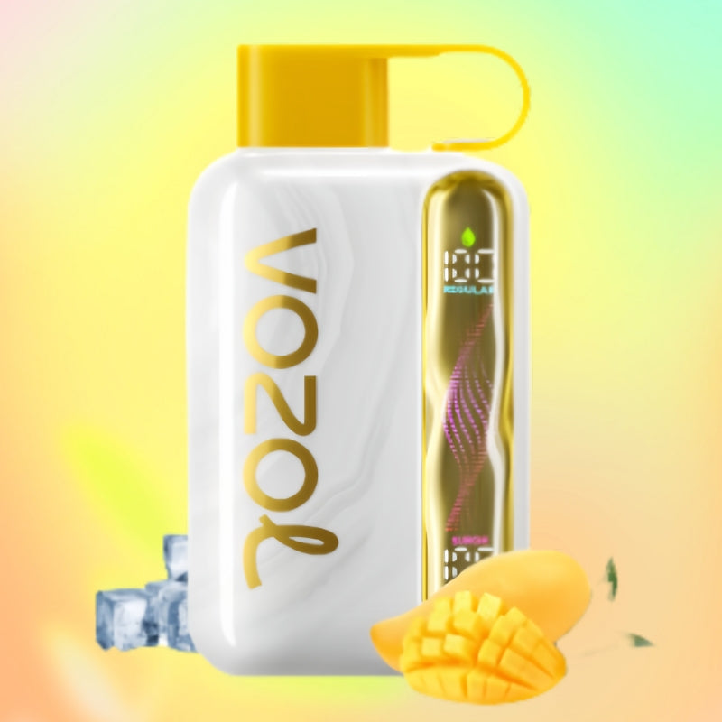 Vozol Star 40K Puffs Vape 5% – 40000 Rechargeable Dual Mesh | UAE