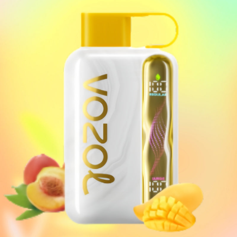 Vozol Star 40K Puffs Vape 5% – 40000 Rechargeable Dual Mesh | UAE